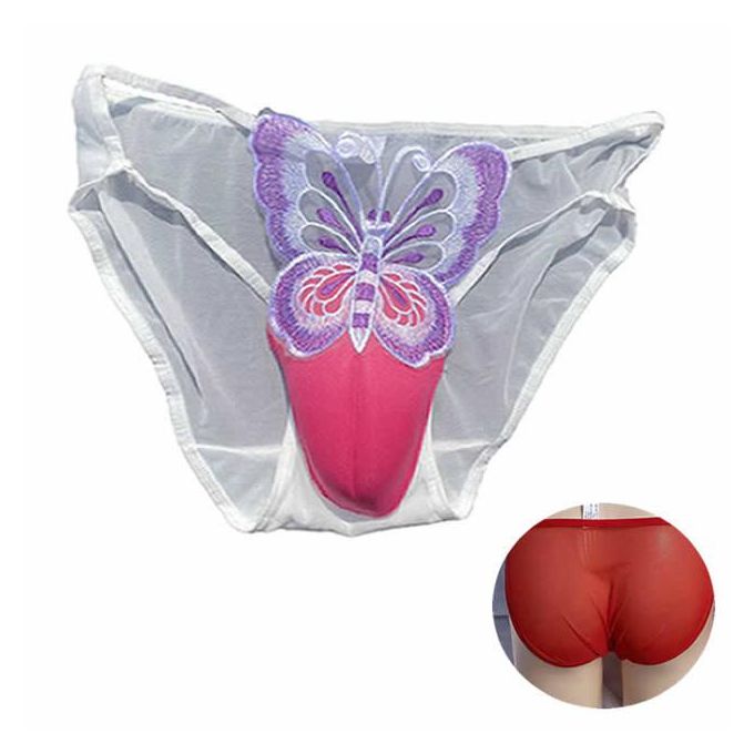 Generic Control Panty Gaff Panties Underwear Crossdresser Transgender Camel  Toe Panty For