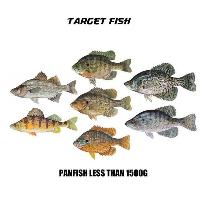Generic 50pcs/ Lots Tiny Fishing Hooks For Panfish Perch Trout