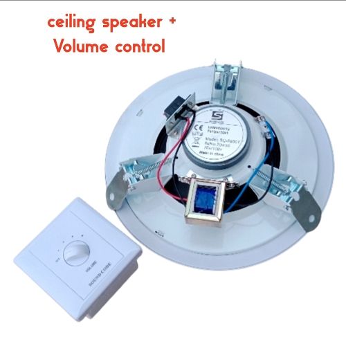 20w Ceiling Speaker With Volume Control Box