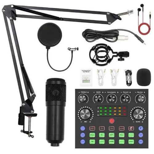 BM800 Condenser Studio Recording Microphone with Shock Mount, Professional Cardioid Mic for Vocal & Instrument Recording, Includes Pop Filter & 3.5mm Cable